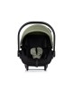 Chipolino Travel System Vista Basil