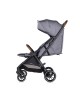 Chipolino Twin Stroller Twinity Cloud Grey