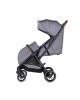 Chipolino Twin Stroller Twinity Cloud Grey