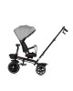 Chipolino Tricycle Max Sport Charcoal