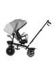Chipolino Tricycle Max Sport Charcoal