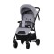 Chipolino Stroller Blossom Platinum