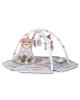 Chipolino Playmat and Ball Pit Animal Adventures Chipolino Playmat and Ball Pit Animal Adventures