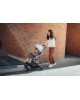 Hauck Stroller Travel n Care Leo