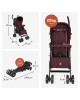 Hauck Stroller Fold n Care Blackberry