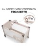 Hauck Travel Cot Dream n Play Go Pooh Rainbow Hauck Travel Cot Dream n Play Go Pooh Rainbow
