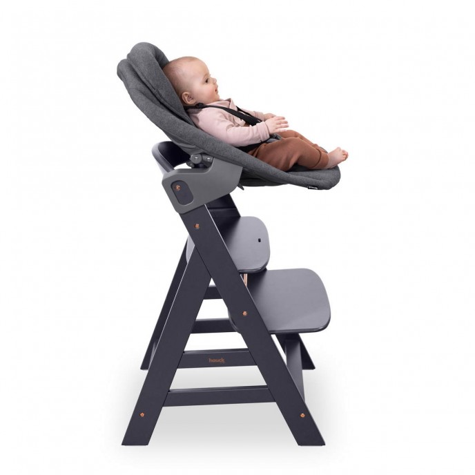 Hauck Alpha Bouncer Premium Dark Grey Hauck Alpha Bouncer Premium Dark Grey