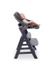 Hauck Alpha Bouncer Premium Dark Grey Hauck Alpha Bouncer Premium Dark Grey