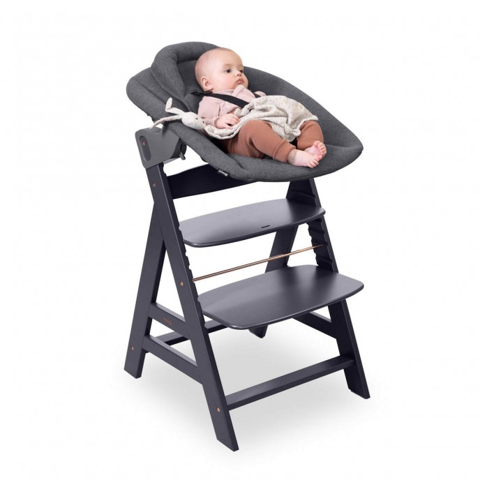 Hauck Alpha Bouncer Premium Dark Grey Hauck Alpha Bouncer Premium Dark Grey