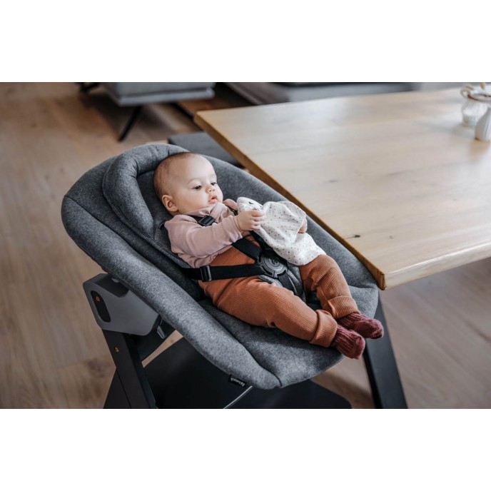 Hauck Alpha Bouncer Premium Dark Grey Hauck Alpha Bouncer Premium Dark Grey