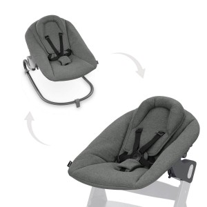 Hauck Alpha Bouncer Premium Dark Grey Hauck Alpha Bouncer Premium Dark Grey
