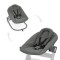 Hauck Alpha Bouncer Premium Dark Grey Hauck Alpha Bouncer Premium Dark Grey