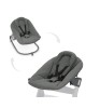 Hauck Alpha Bouncer Premium Dark Grey Hauck Alpha Bouncer Premium Dark Grey