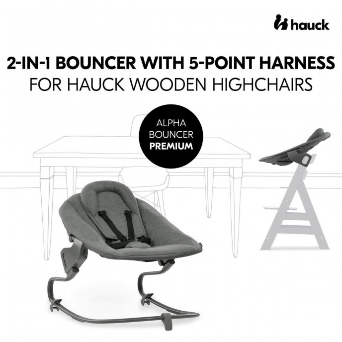 Hauck Alpha Bouncer Premium Dark Grey Hauck Alpha Bouncer Premium Dark Grey