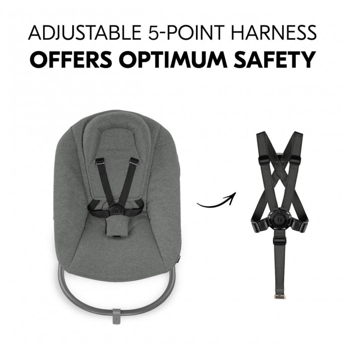 Hauck Alpha Bouncer Premium Dark Grey Hauck Alpha Bouncer Premium Dark Grey