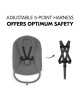 Hauck Alpha Bouncer Premium Dark Grey Hauck Alpha Bouncer Premium Dark Grey