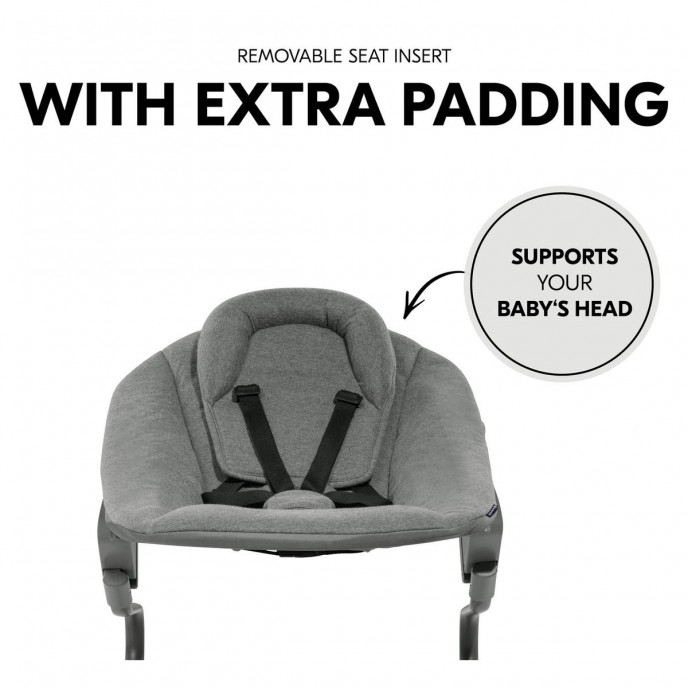 Hauck Alpha Bouncer Premium Dark Grey Hauck Alpha Bouncer Premium Dark Grey