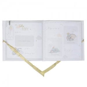 Disney My First Year Record Book Dumbo Disney My First Year Record Book Dumbo