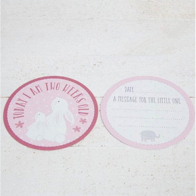 Petit Cheri Milestone Cards Pink