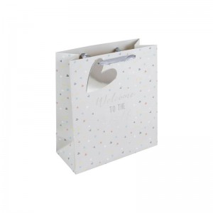 Gift Bag Welcome to the Worls Medium