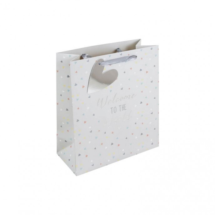 Gift Bag Welcome to the Worls Medium