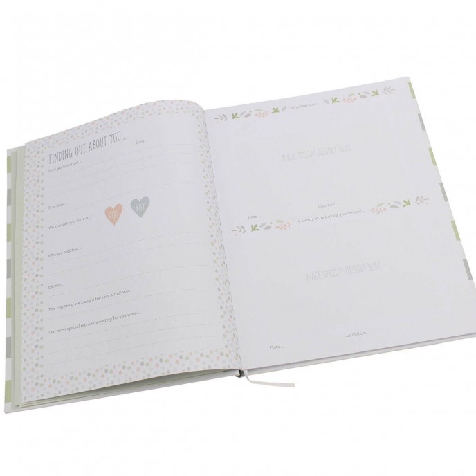 Baby Record Book Koala Cuddles Baby Record Book Koala Cuddles