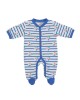 Babygrow Organic Cotton Blue Striped Flower 0m