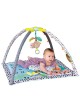 Infantino 4-in-1 Milestones and Memories Playgym