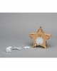 Vintiun Personalised Light up Star