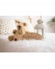 Vintiun Personalised Plaque Stars Wood