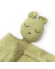 Interbaby Bamboo Set 3pc Olive