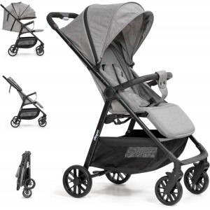 Interbaby Stroller Voyage Grey