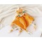 Kiokids Plush Doudou Comforter Lion Rust Kiokids Plush Doudou Comforter Lion Rust