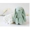 Kiokids Blanket and Plush Bunny Green
