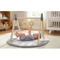 Luvion Playgym With Wooden Arch Koala