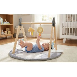 Luvion Playgym With Wooden Arch Koala