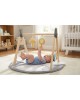 Luvion Playgym With Wooden Arch Koala