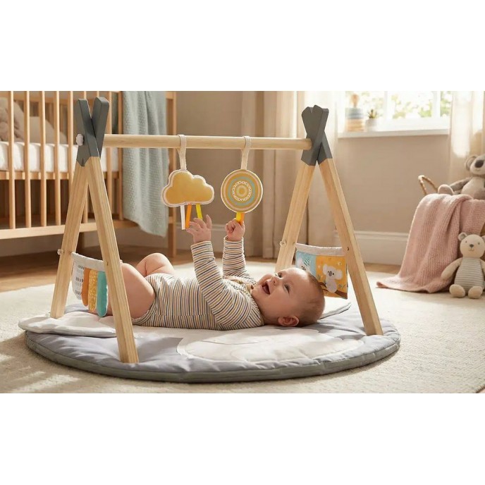 Luvion Playgym With Wooden Arch Koala