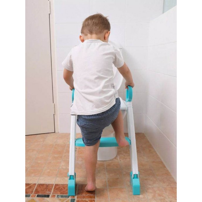 Dreambaby Toilet Ladder Step Up Grey Dreambaby Toilet Ladder Step Up Grey