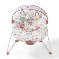 Red Kite Bouncer Cozy Bounce Rose & Ivy