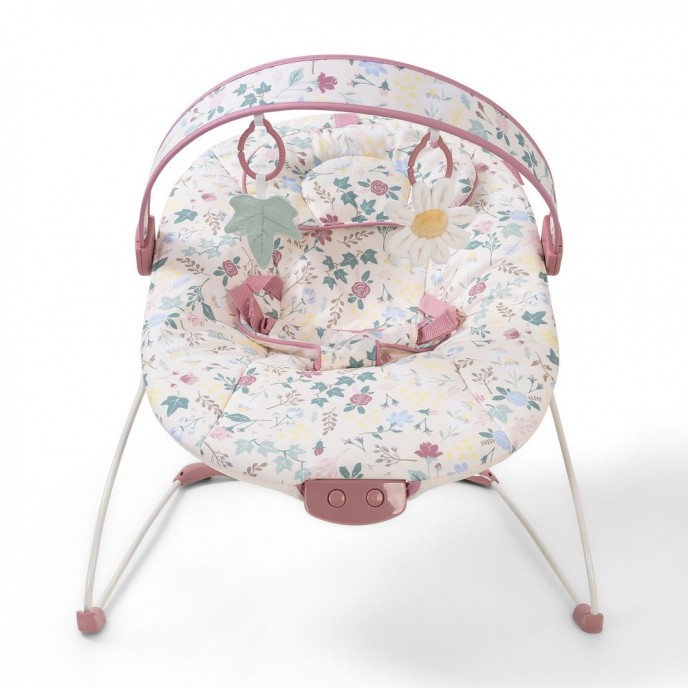Red Kite Bouncer Cozy Bounce Rose & Ivy