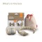 Zazu Earmuffs Baby and Junior 2pk Beige