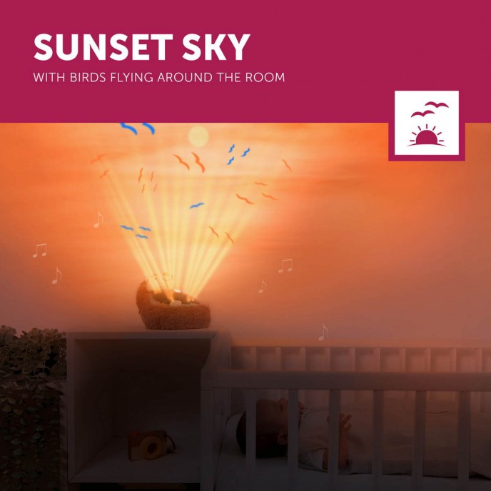 Zazu Projector Sunset Henry