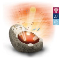 Zazu Projector Sunset Henry