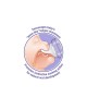 Lansinoh Teat Natural Wave Fast Flow Lansinoh Teat Natural Wave Fast Flow