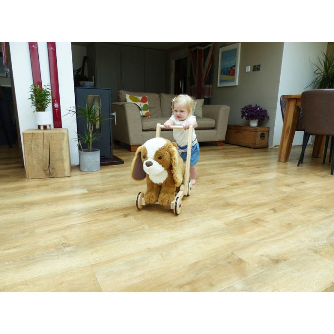 Little Bird.. Animal Ride On Peanut Little Bird.. Animal Ride On Peanut