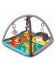 Red Kite Playgym Wild Safari Red Kite Playgym Wild Safari