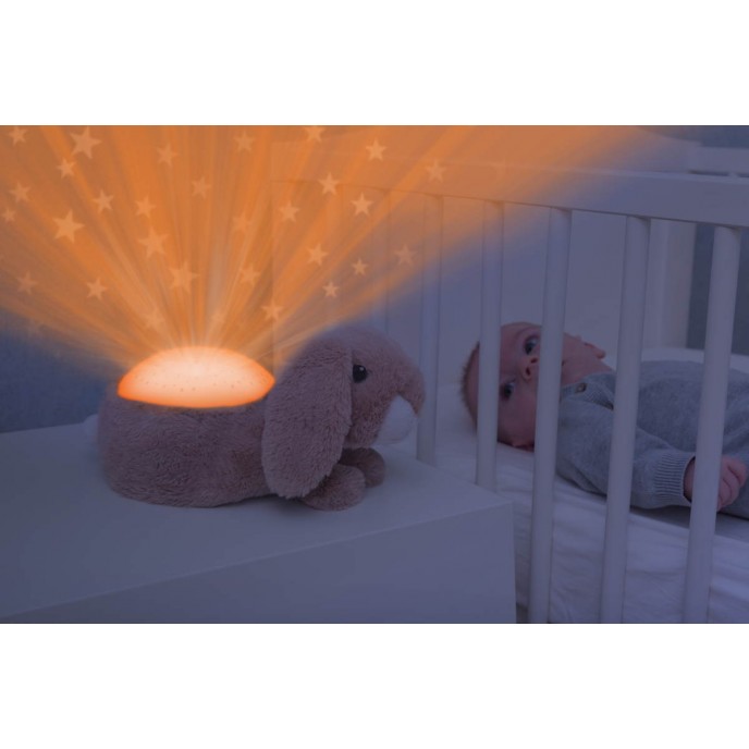 Zazu Projector Star Ruby Zazu Projector Star Ruby