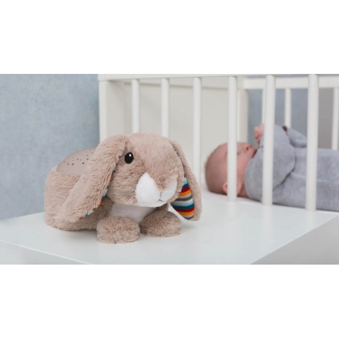 Zazu Projector Star Ruby Zazu Projector Star Ruby