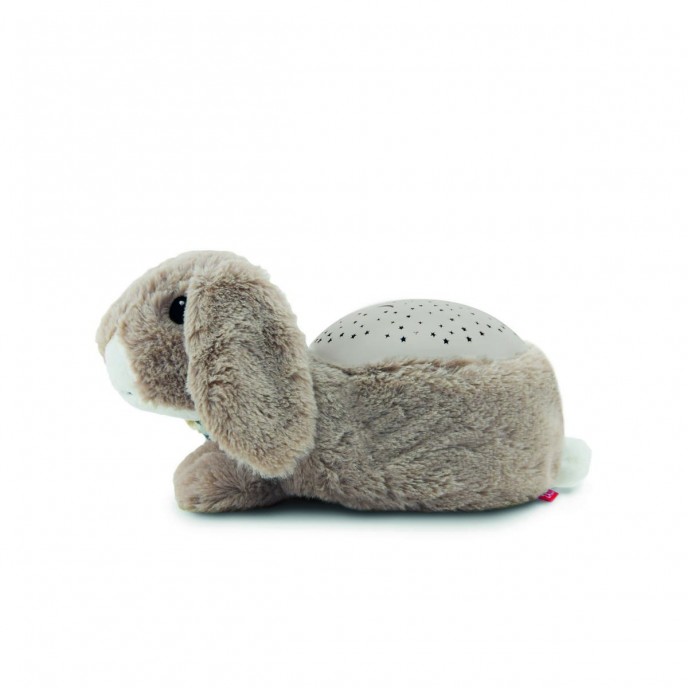 Zazu Projector Star Ruby Zazu Projector Star Ruby